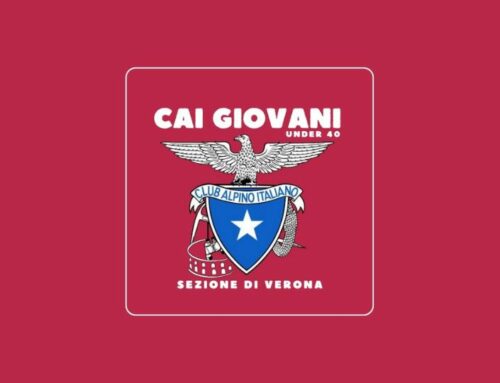 Gruppo Giovani