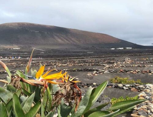 martedì 17 dicembre | TREKKING A LANZAROTE – ISOLE CANARIE