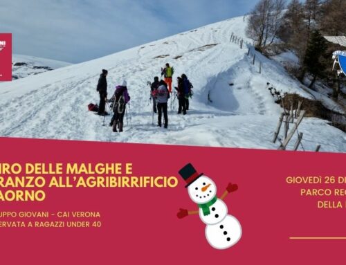 Giovani 12 | giovedì 26 dicembre | Giro delle malghe e pranzo al Laorno