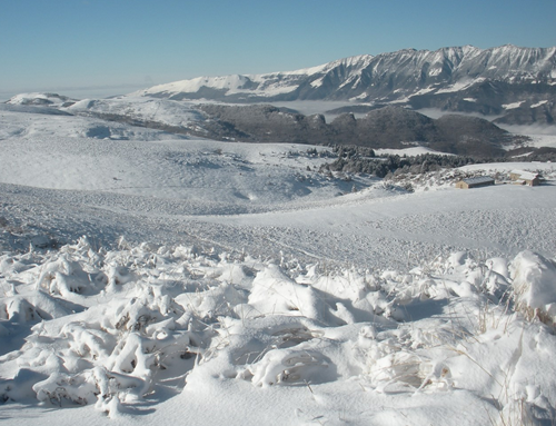 Giovani 3/25 | sabato 8 febbraio | Ciaspolata con pranzo al Rifugio Castelberto