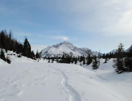 1-2 marzo | Sappada – Centro Fondo e Ciaspolata