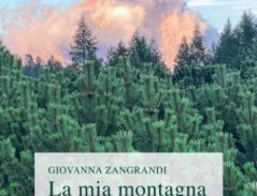 martedì 14 gennaio | LA MIA MONTAGNA